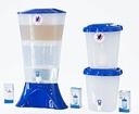 Tulip Product Image.jpg