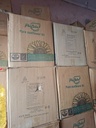 20261005_100211_opt.png