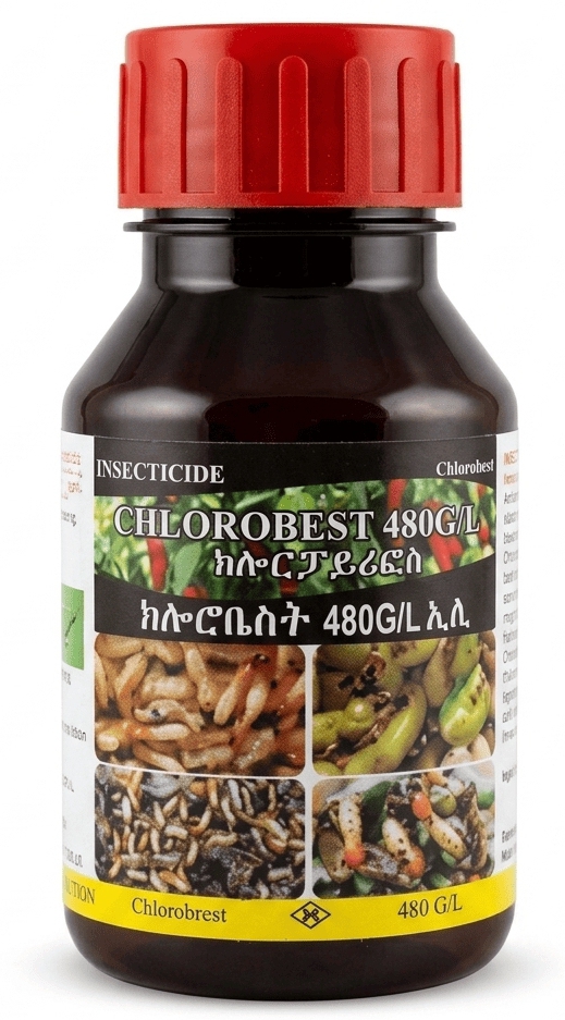 ክሎሮቤስት 480G/ 250 ሚሊ ሊትር